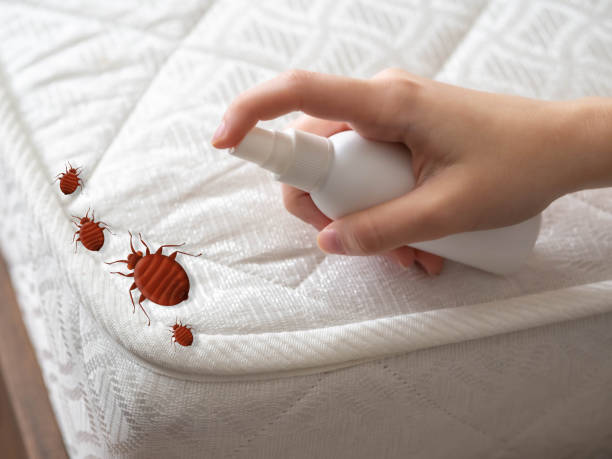 Best Cockroach Control  in Shreve, OH